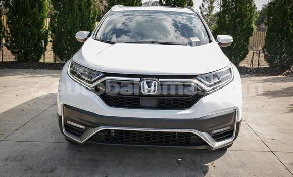 Buy Used Honda CR–V White Car in Marsh Harbour in Abaco