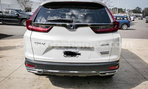 Buy Used Honda CR–V White Car in Marsh Harbour in Abaco Buy Used Honda CR–V White Car in Marsh Harbour in Abaco