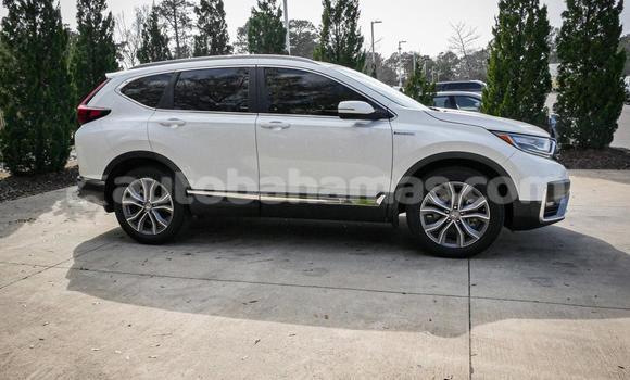 Buy Used Honda CR–V White Car in Marsh Harbour in Abaco Buy Used Honda CR–V White Car in Marsh Harbour in Abaco