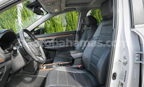 Buy Used Honda CR–V White Car in Marsh Harbour in Abaco Buy Used Honda CR–V White Car in Marsh Harbour in Abaco