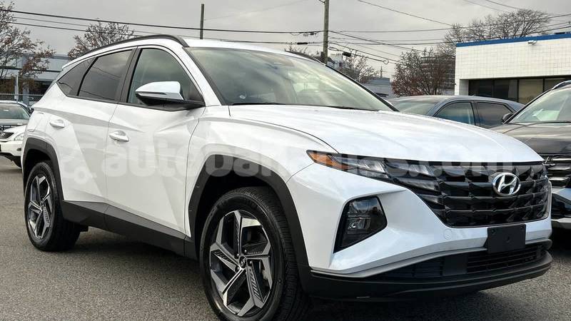 Big with watermark hyundai tucson abaco marsh harbour 2218