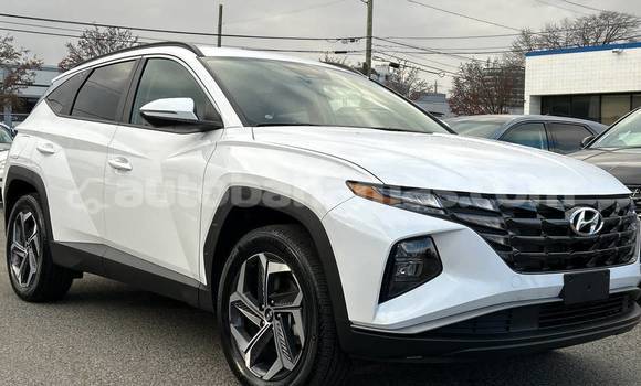 Buy Used Hyundai Tucson White Car in Marsh Harbour in Abaco