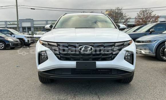 Buy Used Hyundai Tucson White Car in Marsh Harbour in Abaco