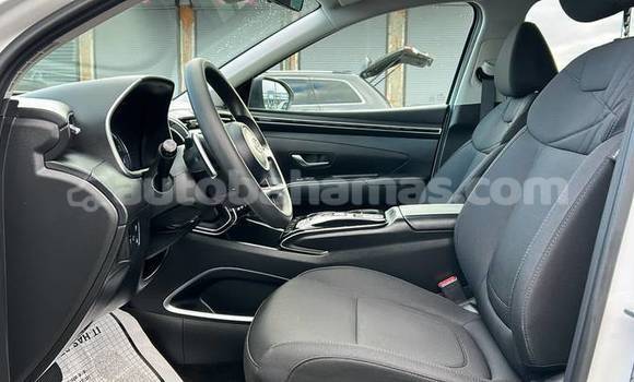 Buy Used Hyundai Tucson White Car in Marsh Harbour in Abaco Buy Used Hyundai Tucson White Car in Marsh Harbour in Abaco