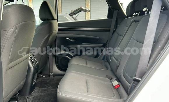 Buy Used Hyundai Tucson White Car in Marsh Harbour in Abaco Buy Used Hyundai Tucson White Car in Marsh Harbour in Abaco