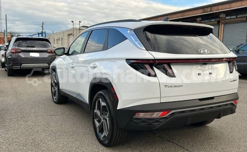 Big with watermark hyundai tucson abaco marsh harbour 2218