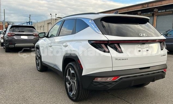 Buy Used Hyundai Tucson White Car in Marsh Harbour in Abaco Buy Used Hyundai Tucson White Car in Marsh Harbour in Abaco