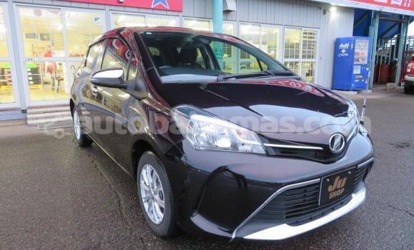 Buy Used Toyota Vitz Black Car in Alice Town in Biminis
