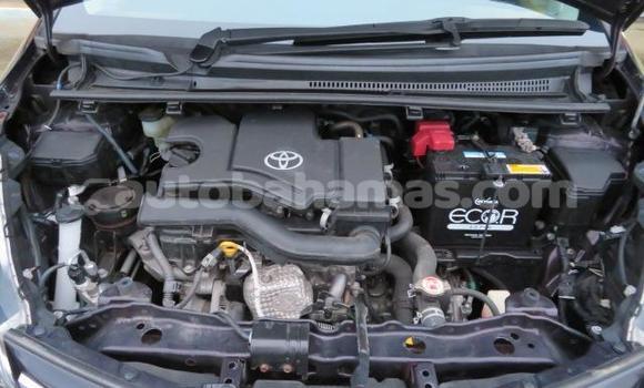 Buy Used Toyota Vitz Black Car in Alice Town in Biminis Buy Used Toyota Vitz Black Car in Alice Town in Biminis
