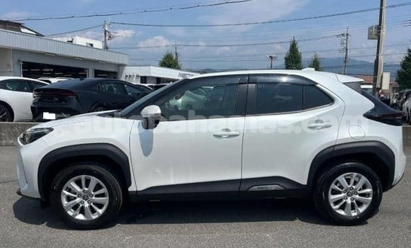 Buy Used Toyota Yaris White Car in Marsh Harbour in Abaco Buy Used Toyota Yaris White Car in Marsh Harbour in Abaco