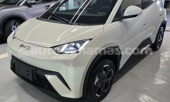 Buy Used BYD S6 White Car in Marsh Harbour in Abaco