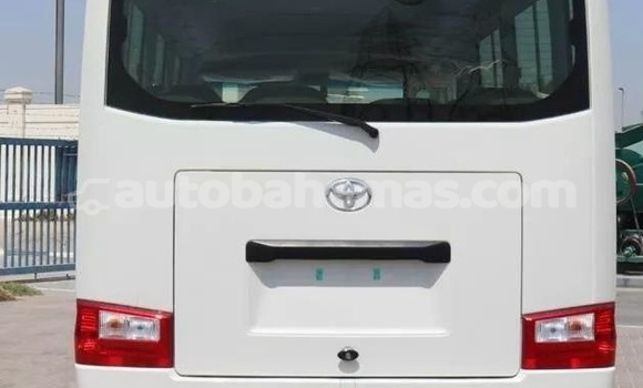 Buy Used Toyota Coaster White Car in Marsh Harbour in Abaco Buy Used Toyota Coaster White Car in Marsh Harbour in Abaco
