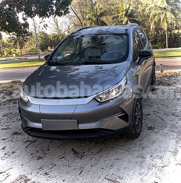 Big with watermark byd e6 abaco coopers town 2310