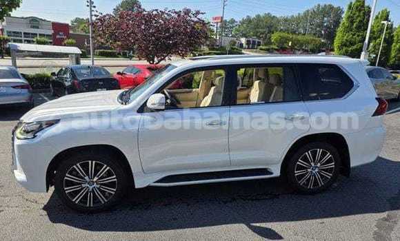 Buy Used Lexus LX 570 White Car in Coopers Town in Abaco
