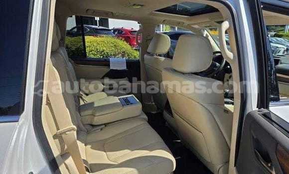 Buy Used Lexus LX 570 White Car in Coopers Town in Abaco Buy Used Lexus LX 570 White Car in Coopers Town in Abaco