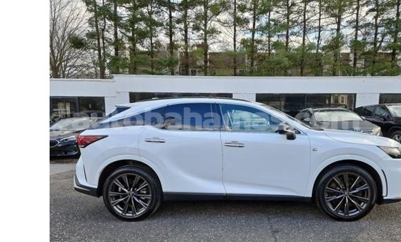 Buy Used Lexus RX 350 White Car in Marsh Harbour in Abaco Buy Used Lexus RX 350 White Car in Marsh Harbour in Abaco
