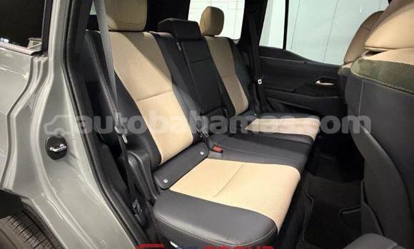 Buy Used Lexus GX Other Car in Freetown in Eleuthera Buy Used Lexus GX Other Car in Freetown in Eleuthera
