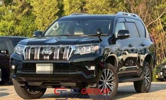 Buy Used Toyota Land Cruiser Prado Black Car in Freetown in Eleuthera