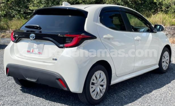 Buy Used Toyota Yaris White Car in Freetown in Eleuthera Buy Used Toyota Yaris White Car in Freetown in Eleuthera