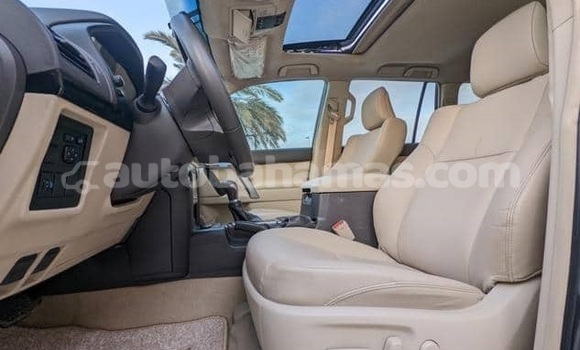 Buy Used Toyota Land Cruiser Prado Other Car in Marsh Harbour in Abaco Buy Used Toyota Land Cruiser Prado Other Car in Marsh Harbour in Abaco