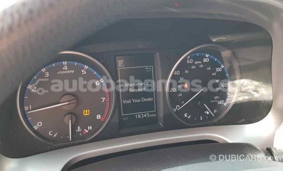 Buy Import Toyota HiAce Other Truck in Import - Dubai in Abaco Buy Import Toyota HiAce Other Truck in Import - Dubai in Abaco