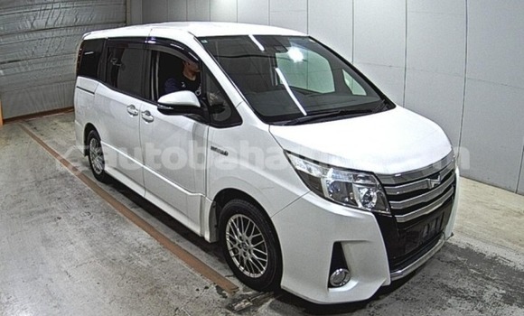 Buy Used Toyota Noah White Car in Freetown in Eleuthera