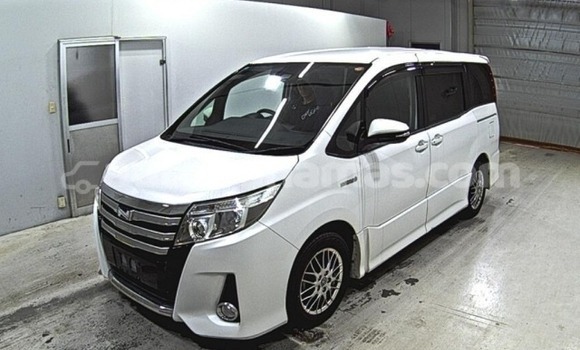 Buy Used Toyota Noah White Car in Freetown in Eleuthera Buy Used Toyota Noah White Car in Freetown in Eleuthera