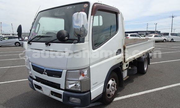 Buy Used Mitsubishi Freeca White Car in Alice Town in Biminis