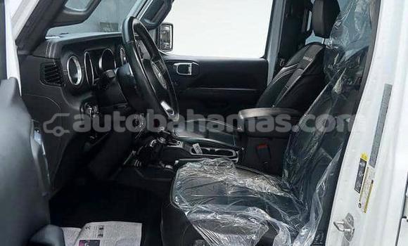 Buy Used Jeep Wrangler White Car in Marsh Harbour in Abaco Buy Used Jeep Wrangler White Car in Marsh Harbour in Abaco