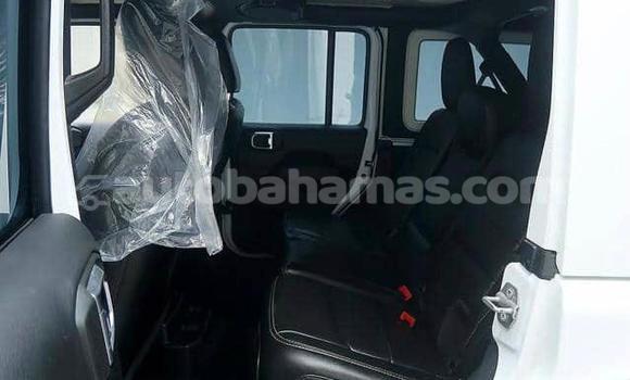 Buy Used Jeep Wrangler White Car in Marsh Harbour in Abaco Buy Used Jeep Wrangler White Car in Marsh Harbour in Abaco