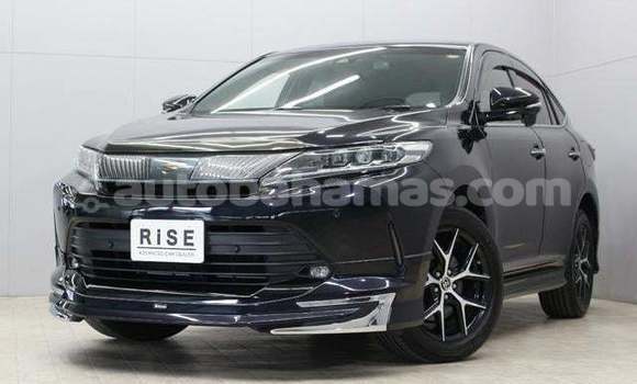 Buy Import Toyota Harrier Black Car in Freetown in Eleuthera