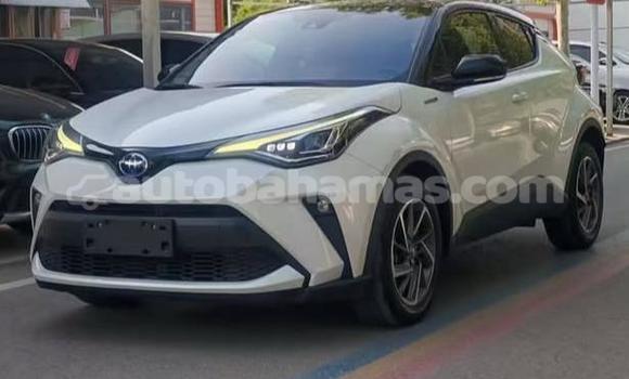 Buy Used Toyota C-HR White Car in Marsh Harbour in Abaco