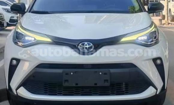 Buy Used Toyota C-HR White Car in Marsh Harbour in Abaco Buy Used Toyota C-HR White Car in Marsh Harbour in Abaco