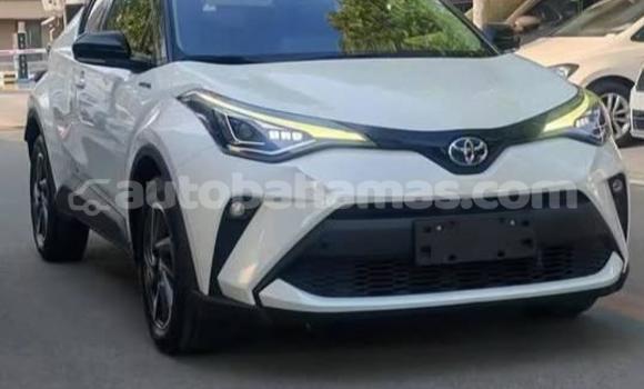 Buy Used Toyota C-HR White Car in Marsh Harbour in Abaco Buy Used Toyota C-HR White Car in Marsh Harbour in Abaco