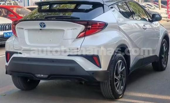 Buy Used Toyota C-HR White Car in Marsh Harbour in Abaco Buy Used Toyota C-HR White Car in Marsh Harbour in Abaco
