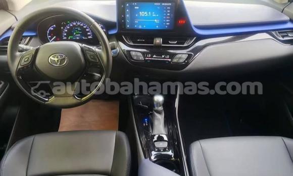 Buy Used Toyota C-HR White Car in Marsh Harbour in Abaco Buy Used Toyota C-HR White Car in Marsh Harbour in Abaco
