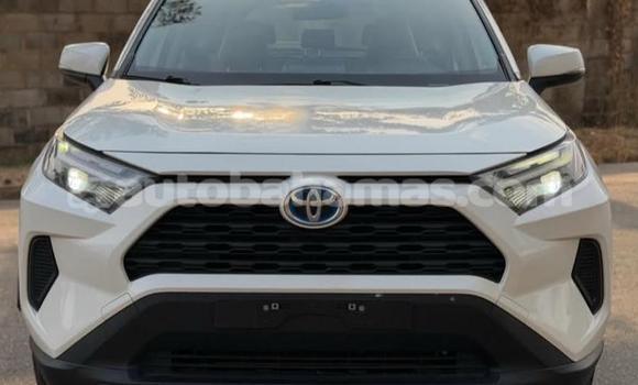 Buy Used Toyota RAV4 White Car in Marsh Harbour in Abaco