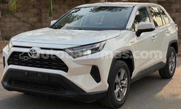 Buy Used Toyota RAV4 White Car in Marsh Harbour in Abaco Buy Used Toyota RAV4 White Car in Marsh Harbour in Abaco
