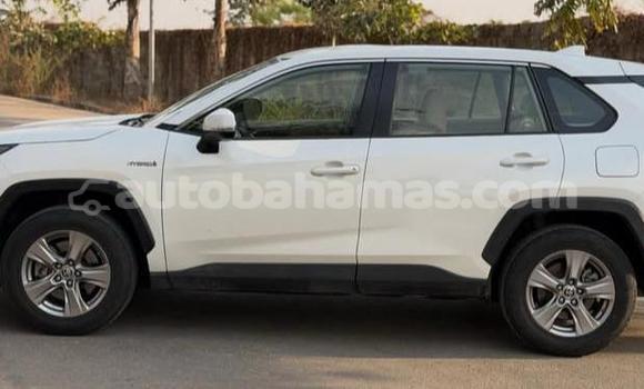 Buy Used Toyota RAV4 White Car in Marsh Harbour in Abaco Buy Used Toyota RAV4 White Car in Marsh Harbour in Abaco