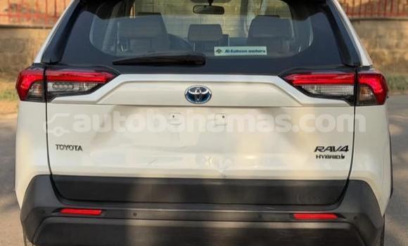 Buy Used Toyota RAV4 White Car in Marsh Harbour in Abaco Buy Used Toyota RAV4 White Car in Marsh Harbour in Abaco
