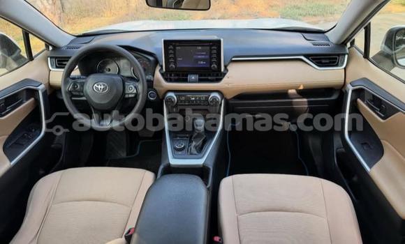 Buy Used Toyota RAV4 White Car in Marsh Harbour in Abaco Buy Used Toyota RAV4 White Car in Marsh Harbour in Abaco