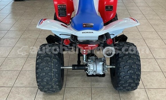 Buy New Honda TRX Other Bike in Freetown in Eleuthera Buy New Honda TRX Other Bike in Freetown in Eleuthera