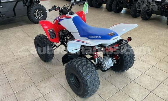 Buy New Honda TRX Other Bike in Freetown in Eleuthera Buy New Honda TRX Other Bike in Freetown in Eleuthera