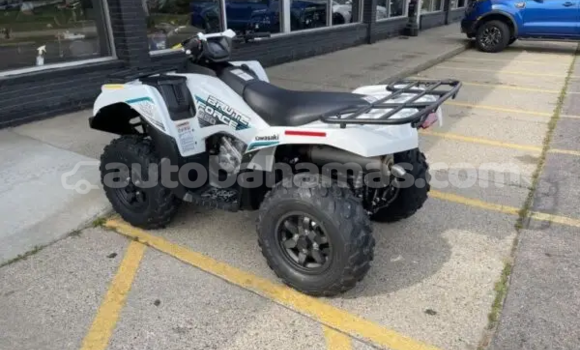 Buy New Kawasaki Brute Force White Bike in Marsh Harbour in Abaco Buy New Kawasaki Brute Force White Bike in Marsh Harbour in Abaco