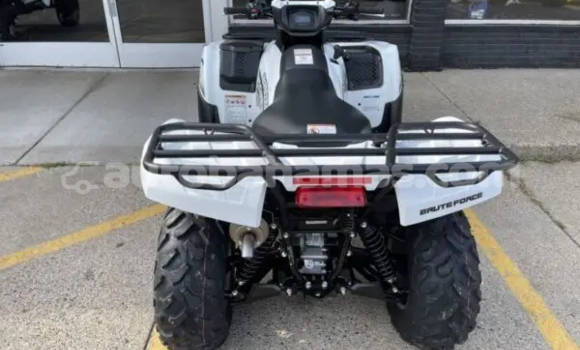 Buy New Kawasaki Brute Force White Bike in Marsh Harbour in Abaco Buy New Kawasaki Brute Force White Bike in Marsh Harbour in Abaco