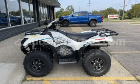 Buy New Kawasaki Brute Force White Bike in Marsh Harbour in Abaco Buy New Kawasaki Brute Force White Bike in Marsh Harbour in Abaco