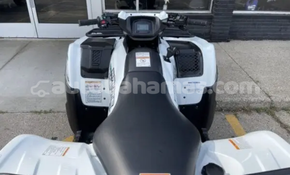 Buy New Kawasaki Brute Force White Bike in Marsh Harbour in Abaco Buy New Kawasaki Brute Force White Bike in Marsh Harbour in Abaco