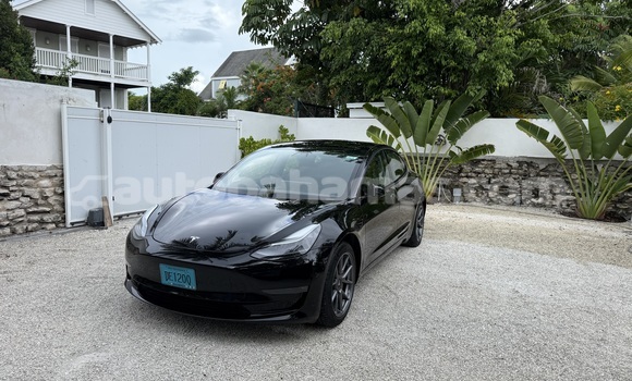 Buy Used Tesla Model 3 Black Car in Rock Sound in Eleuthera