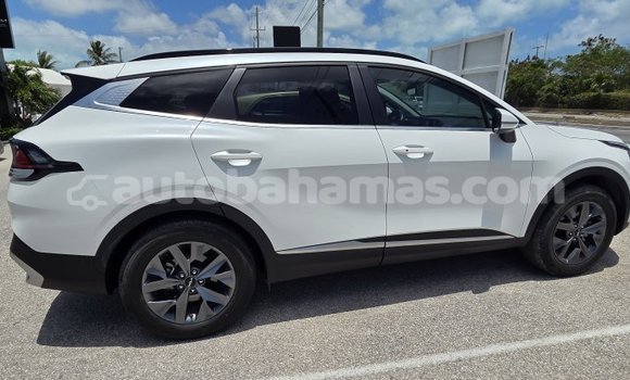 Buy Import Kia Sportage White Car in Marsh Harbour in Abaco Buy Import Kia Sportage White Car in Marsh Harbour in Abaco