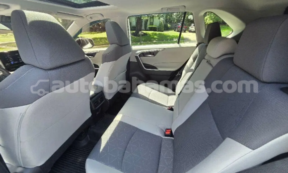 Buy Used Toyota RAV4 White Car in Marsh Harbour in Abaco Buy Used Toyota RAV4 White Car in Marsh Harbour in Abaco